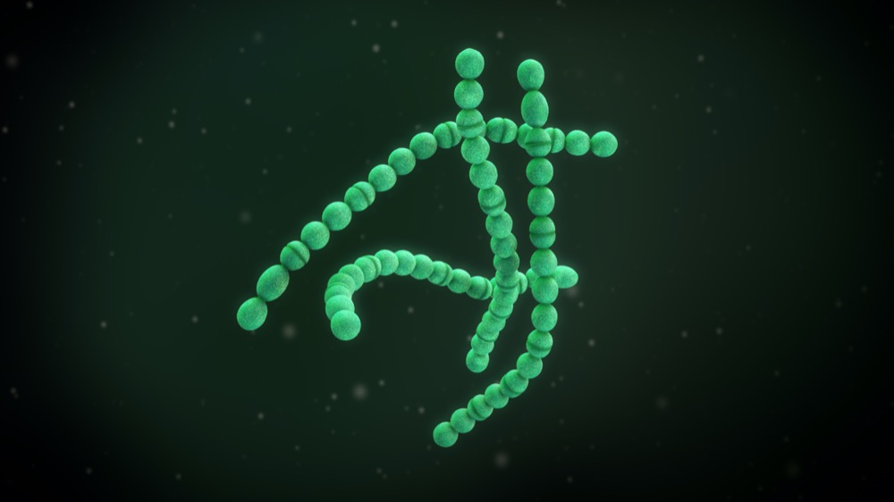 3D illustration of a streptococcus pyogenes bacteria